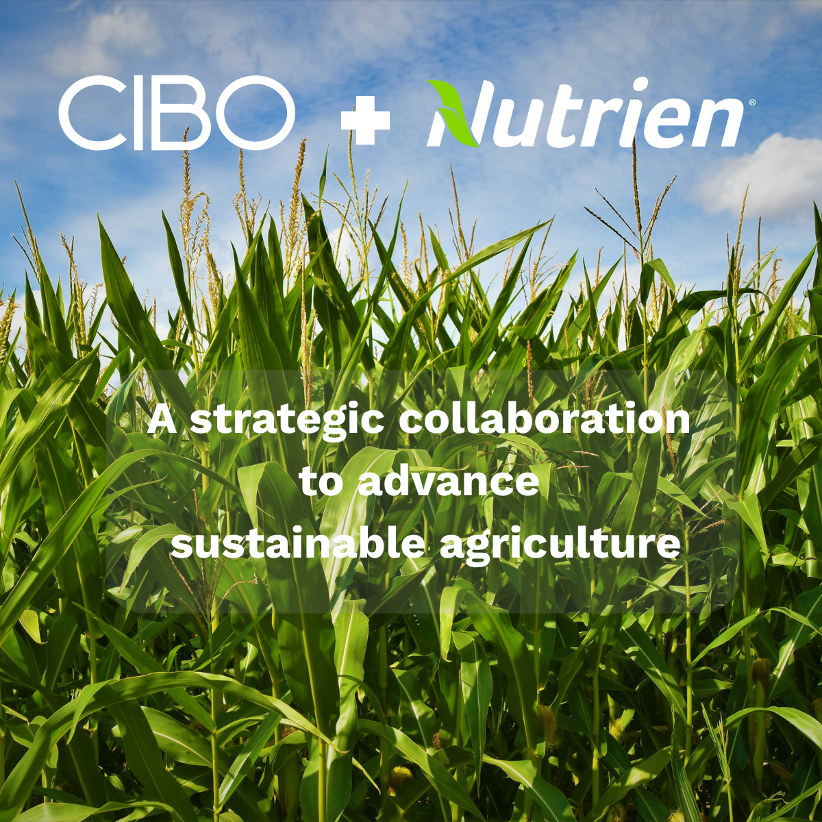 A strategic collaboration to advance sustainable agriculture