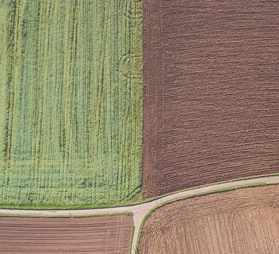 Blog-Cover-remote-fields_square