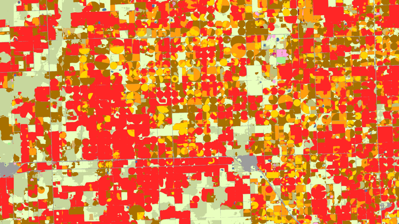 CIBO-Crop-ID-Blog-Card
