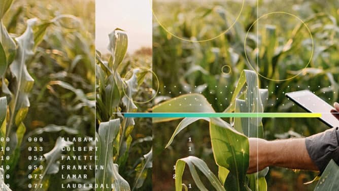 CIBO-scope-3-man-field-668x376