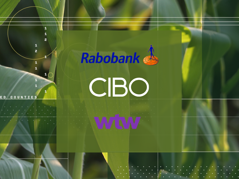 Rabobank webpage (800 x 600 px)-1