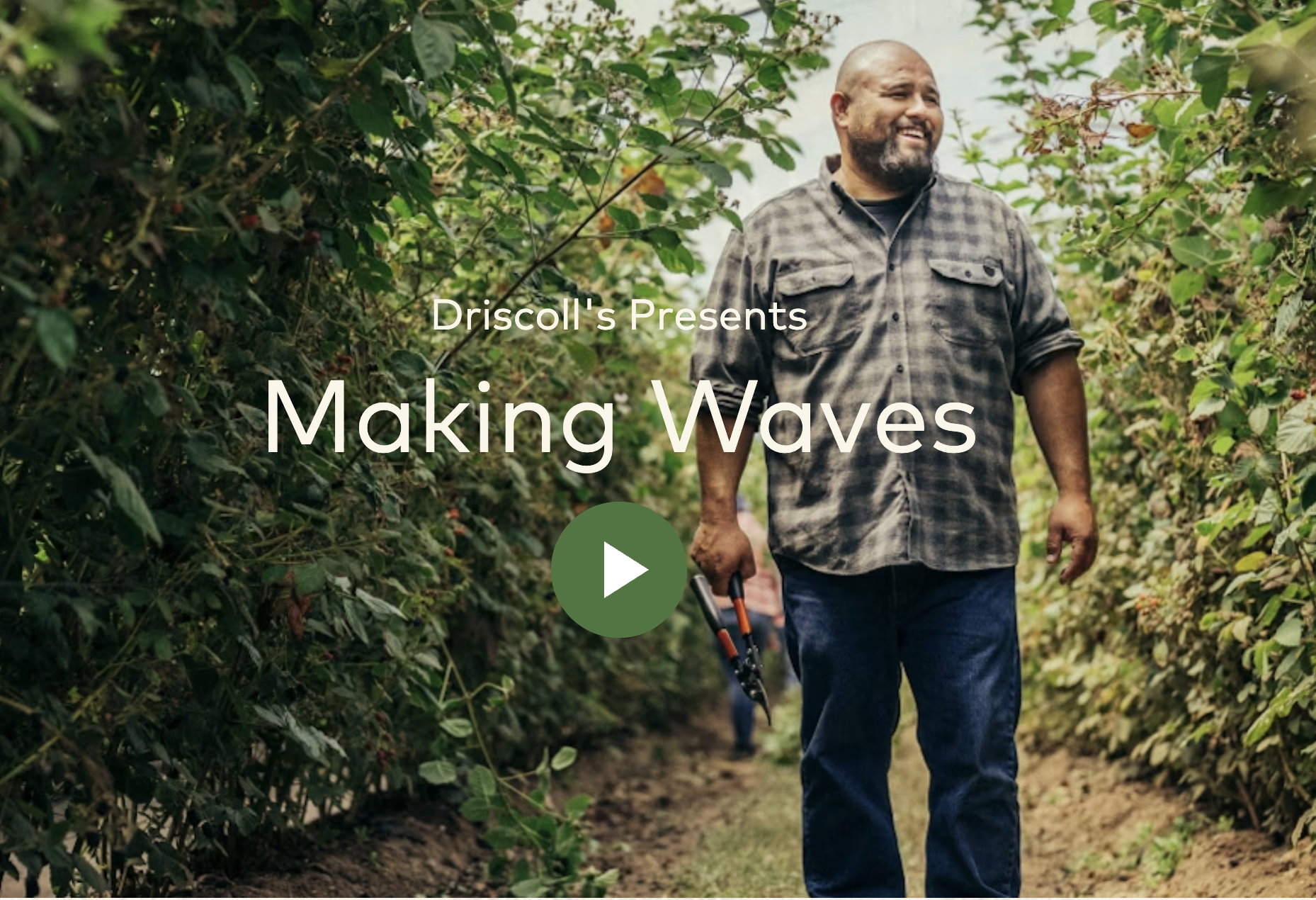 farmer walking in fields