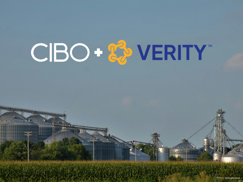 Verity release web (800 x 600 px)