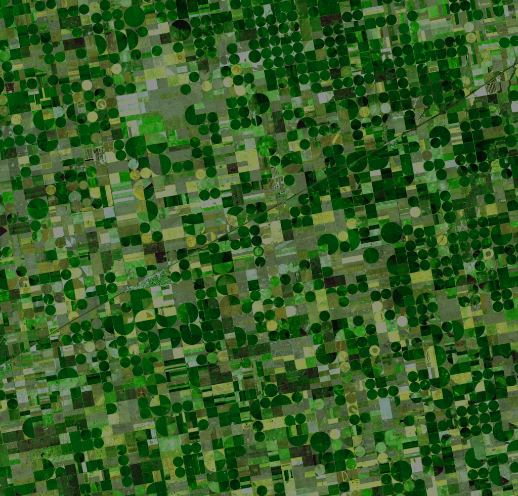 field-2