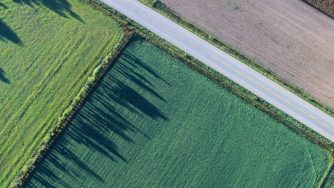 overhead view of a field