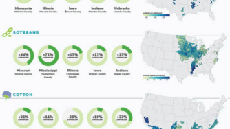 Blog CardImg infographic