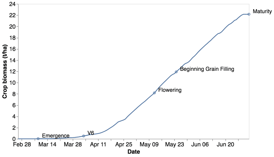 Figure 1 corn phenology