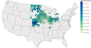 corn planting dates aug20 corn planting dates aug20