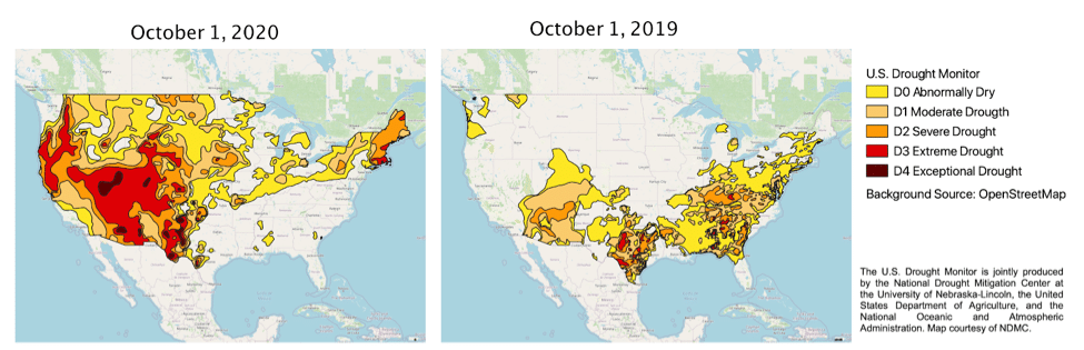 2020 vs. 2019: It's All About Rain » CIBO Technologies