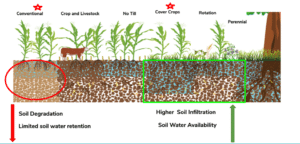Soil water retention across various management practices