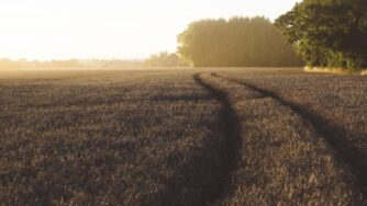 agriculture 1867864 1920