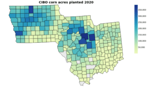 Figure 1 CIBO estimated corn acreage for the year 2020