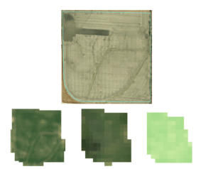 Figure 2 Example of Satellite and VI Images for John Does field