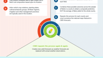 Blog CardImg info