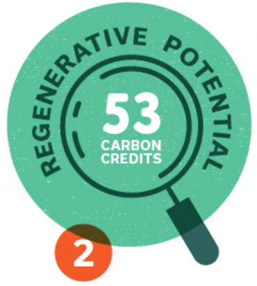 #2: Regenerative Potential - 53 carbon credits