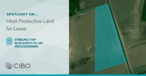 LI Maps MN Lease