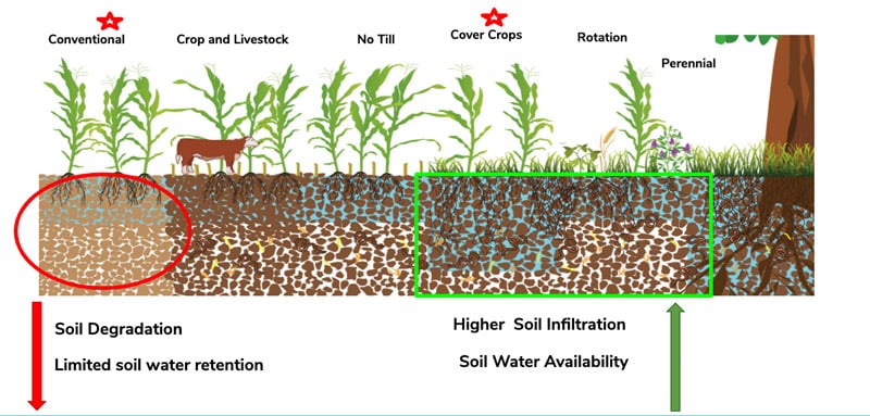 How to Choose a Regenerative Agriculture Practice 1