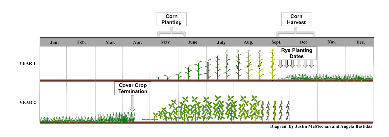 How to Choose a Regenerative Agriculture Practice