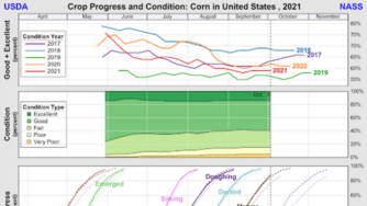 Blog CardImg corn chart
