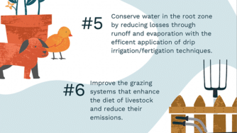 Info soil health