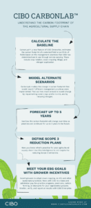 Infographic CarbonLab