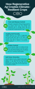 Infographic Climate Resilience