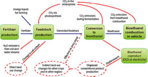 The Definitive Guide to Low Carbon Corn for Carbon Neutral Ethanol 3