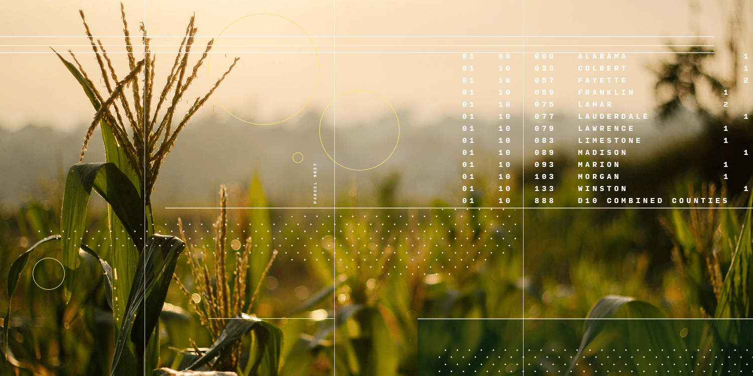 CIBO collage corn sunet