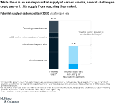 scaling voluntary carbon markets graphic