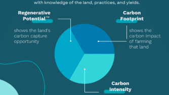 3 Pillars to Deliver Confidence in Carbon Infographic