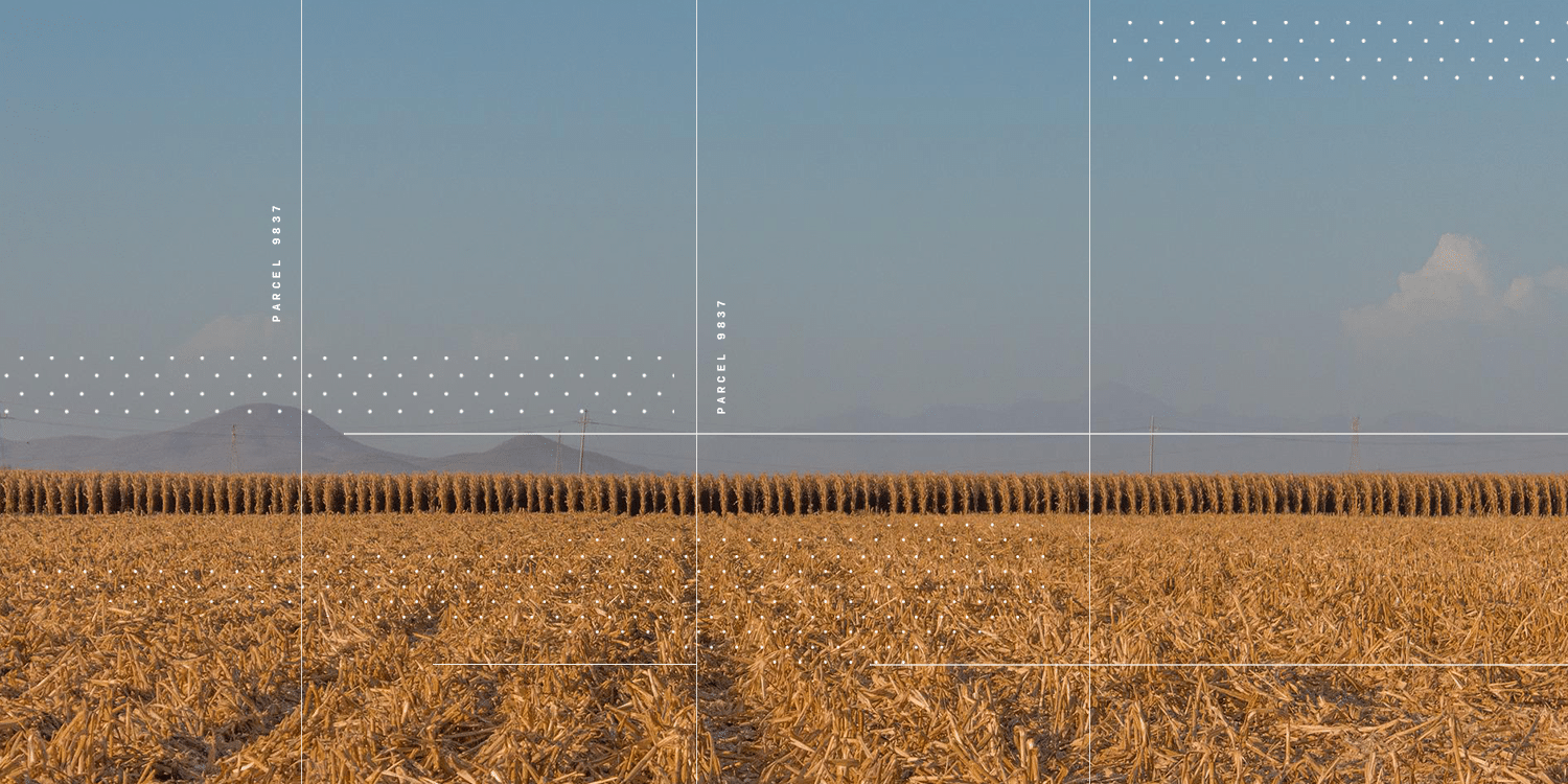 CIBO collage corn fields