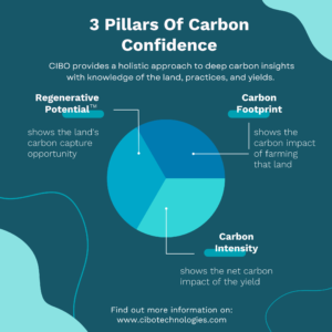 3 Pillars to Deliver Confidence in Carbon Infographic