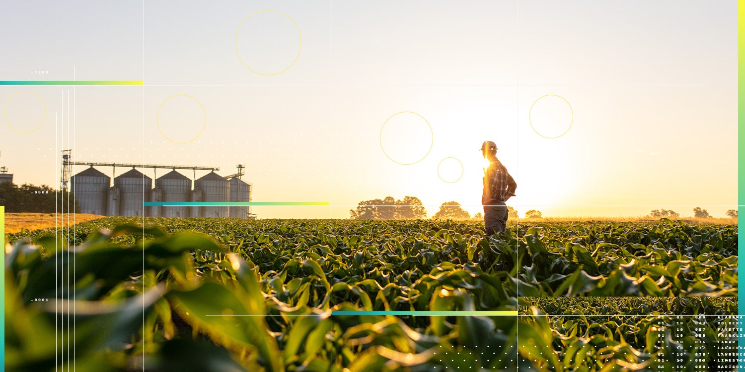 CIBO Man Field Sunset 1