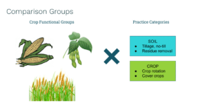 Figure 3 Comparison Groups