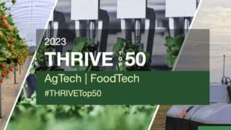 Thrive Top 50