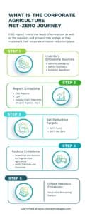 Scope 3 Agriculture Net Zero Journey Infographic