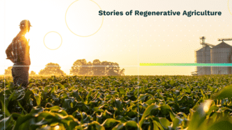 Cultivating Change Podcast Cover Farmer In a corn field at sunrise